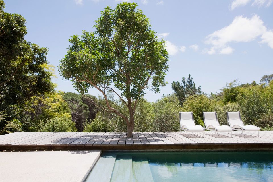 Quel bois pour la terrasse d'une piscine ?