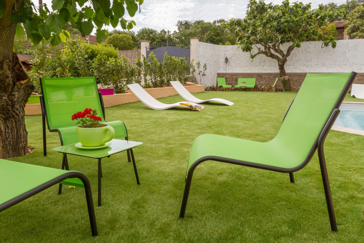 Image_text_un_4-gazon-toujours-vert-autour-de-ma-piscine