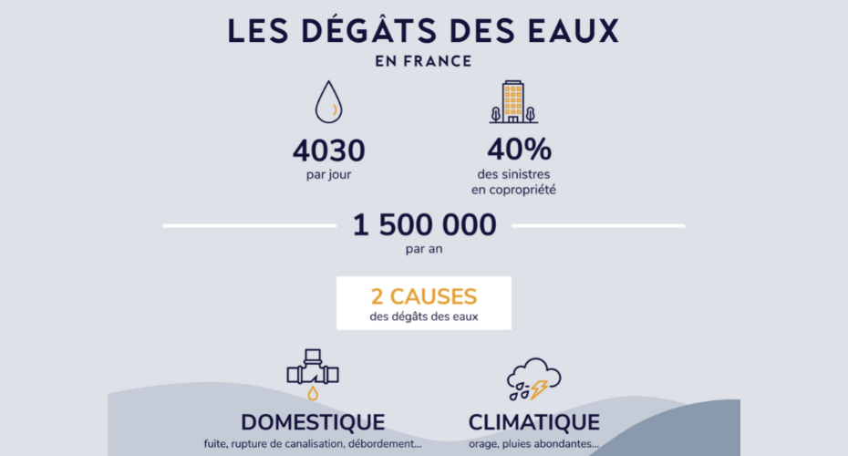degats des eaux 2