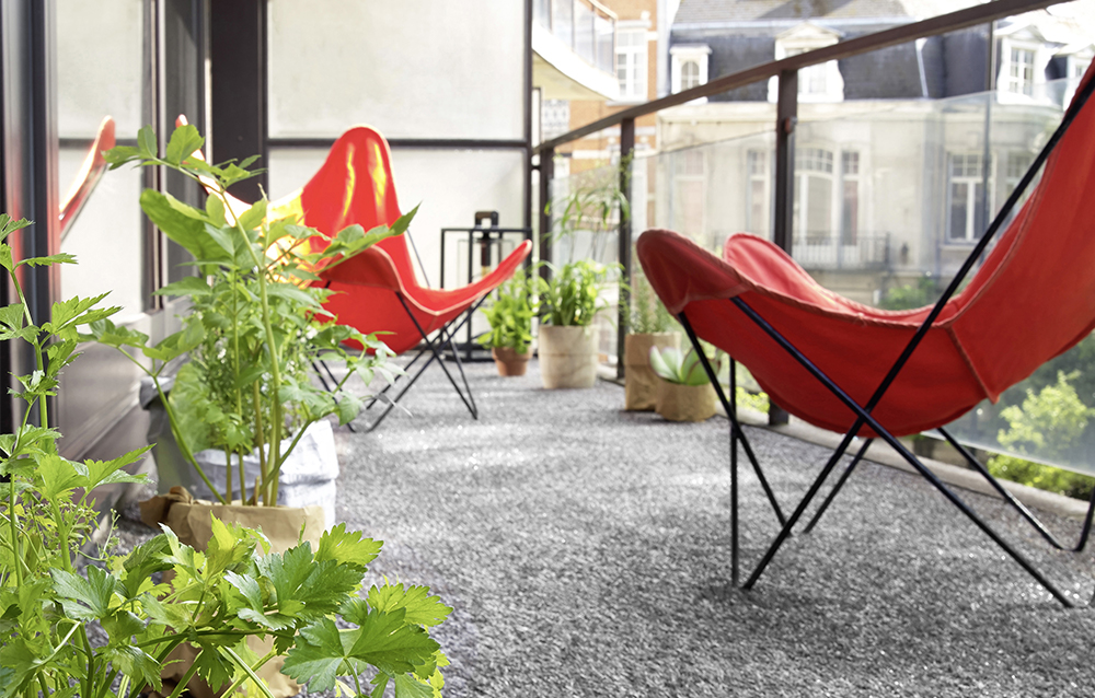 Img couleur gazon - Choisir gazon