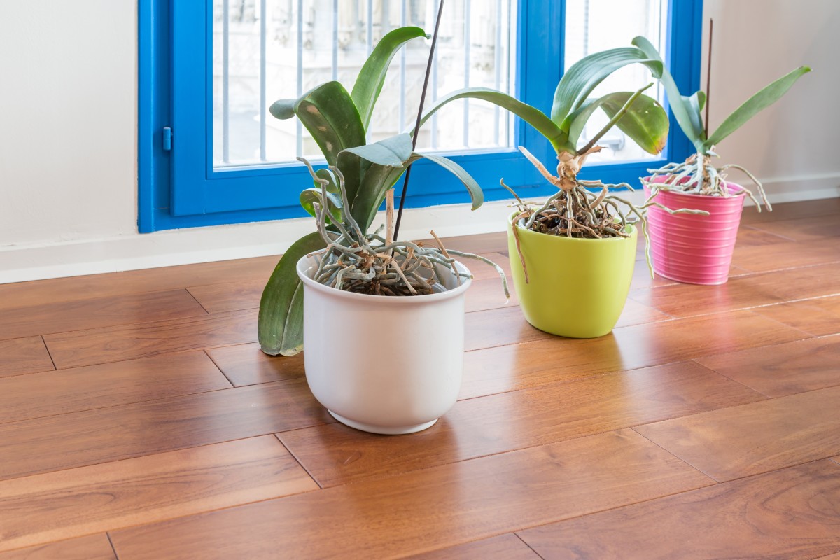 Carrousel_2_un-parquet-massif-exotique-pour-rechauffer-un-cabinet-medical_4