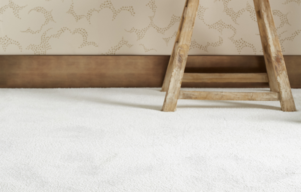 moquette-caresse.ext