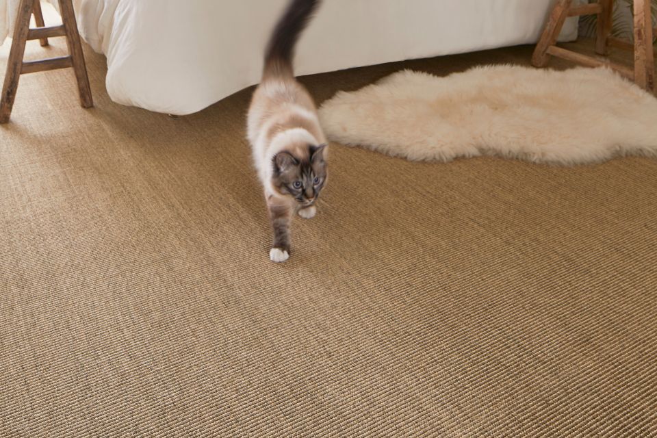 Jonc de mer, sol sisal : peut-on craquer si on a un chat ?