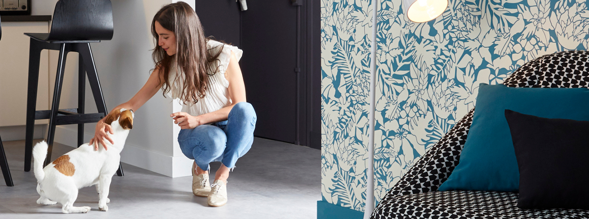 Un studio relooké
