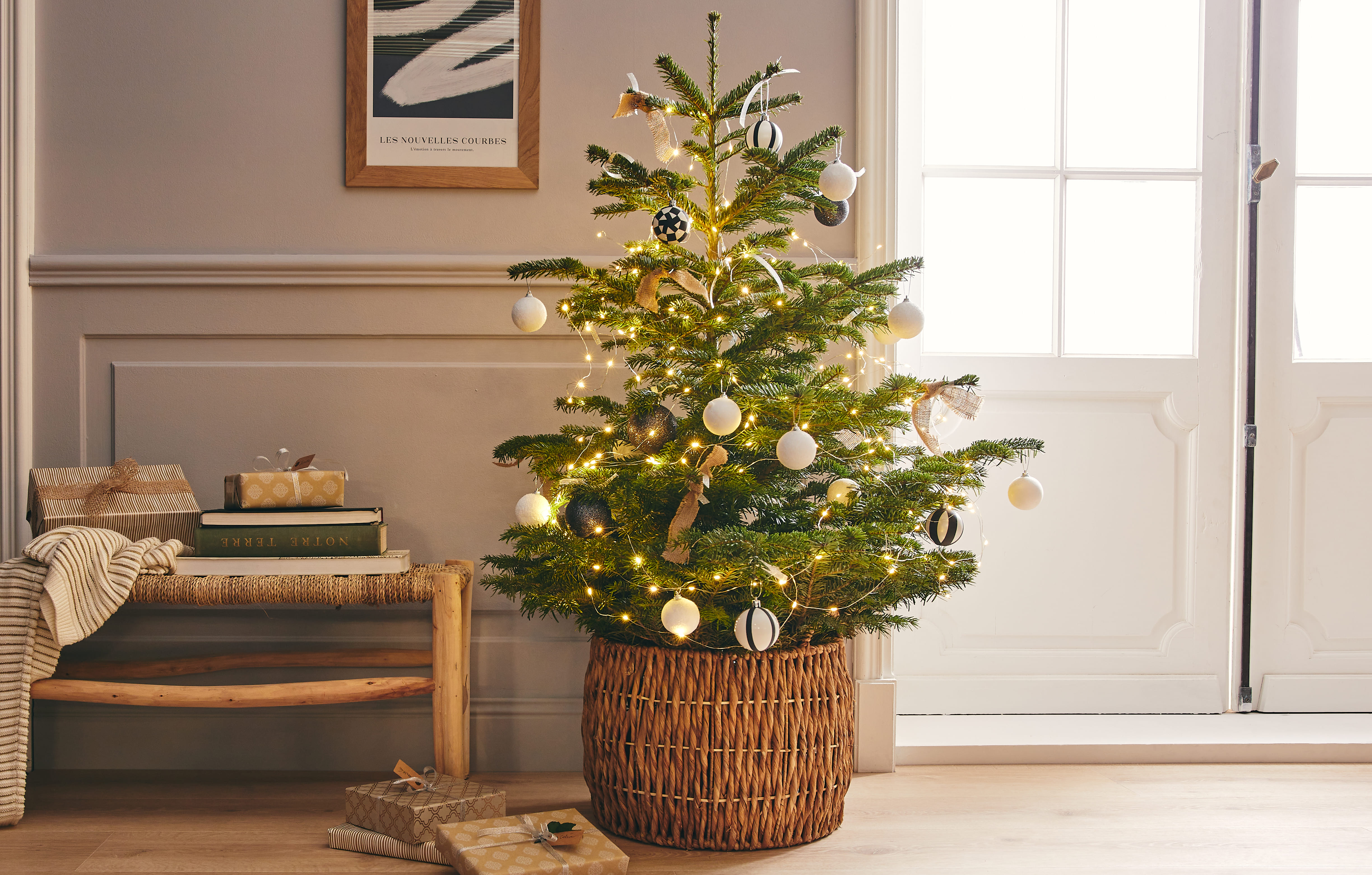 contenant pied de sapin