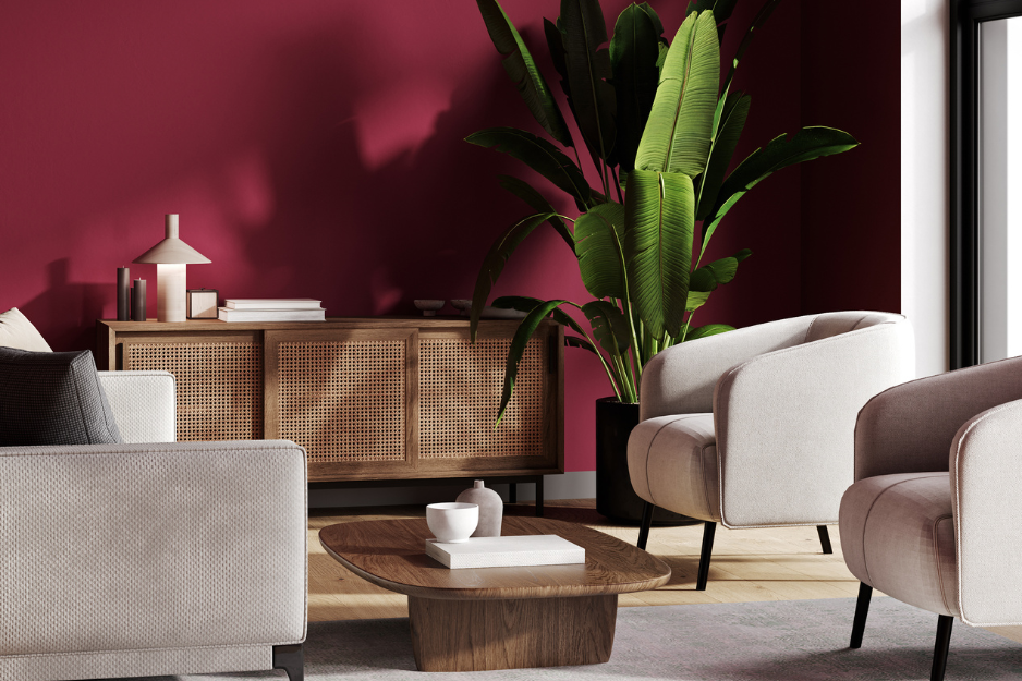 comment utiliser viva magenta