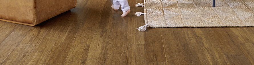 Bois :  des labels pour s’y retrouver ! 