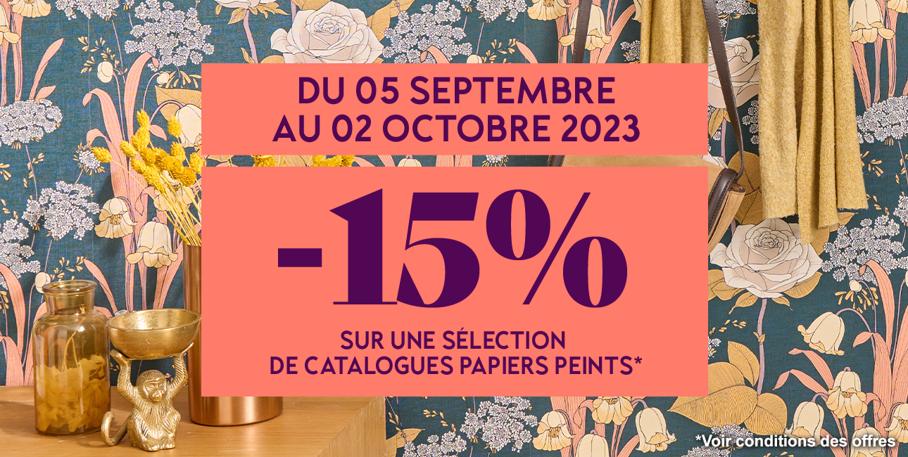 Fiche mag -15% Ppeint desk