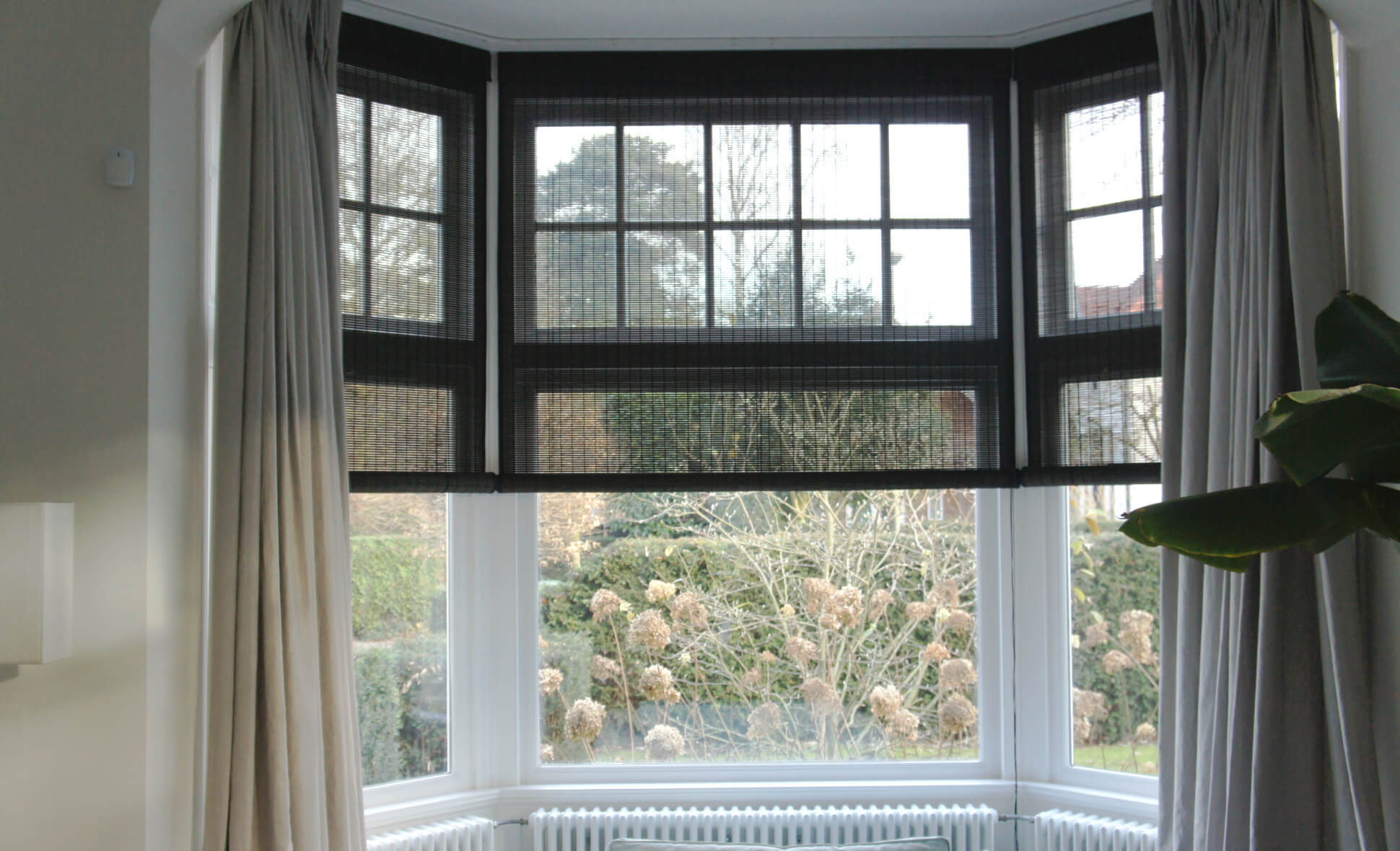 store-fenetre-chien-assis