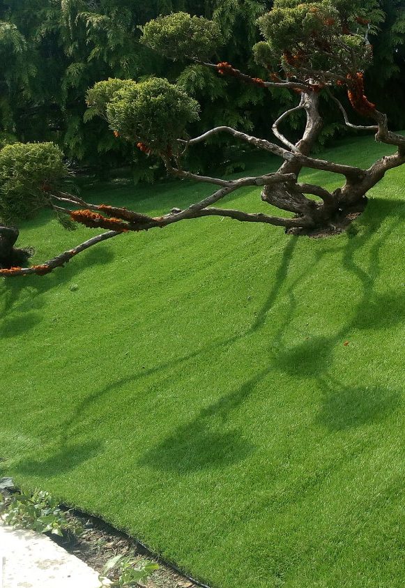 Image_text_2_un-gazon-synthetique-bluffant-pour-un-jardin-en-relief