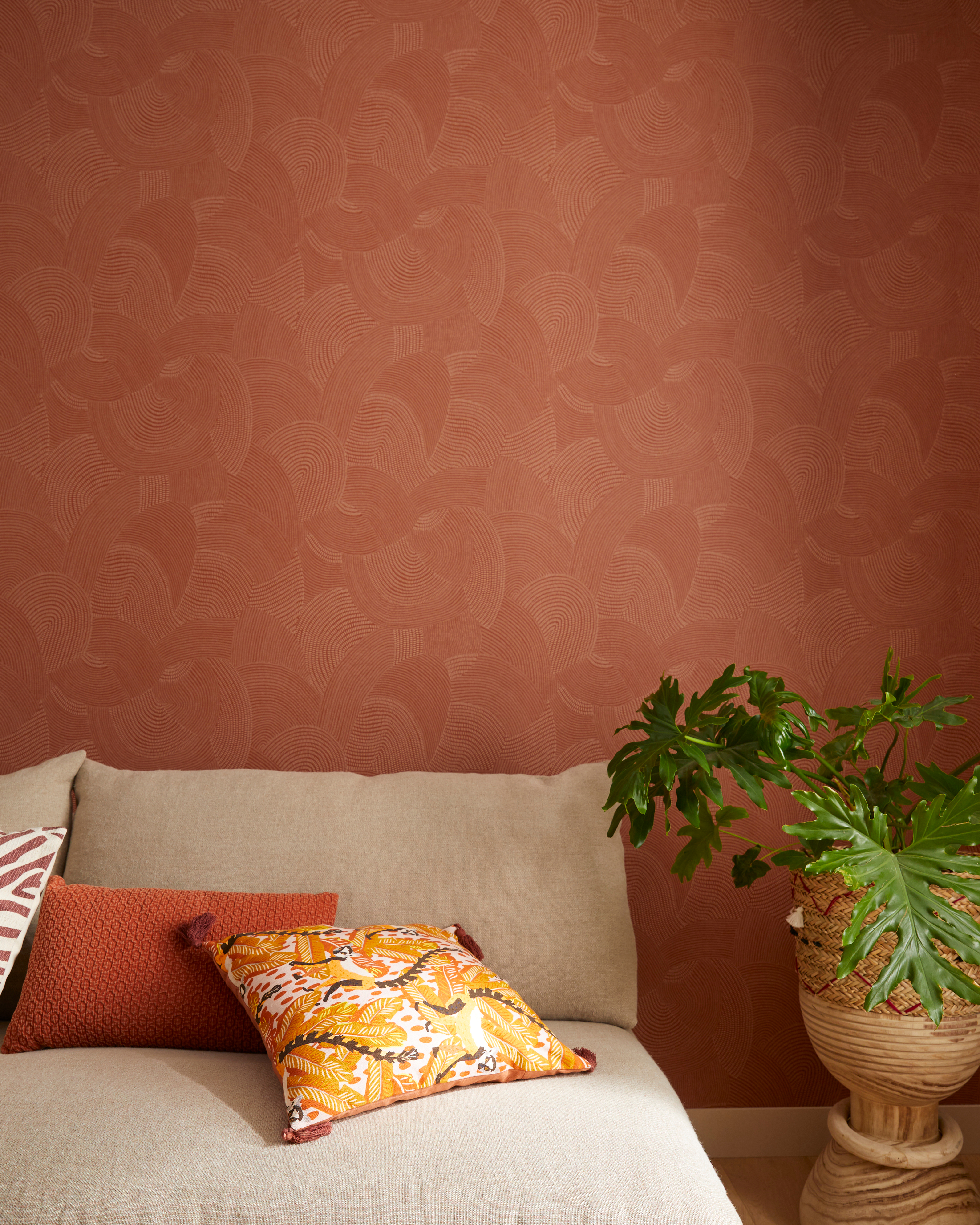 couelur orange