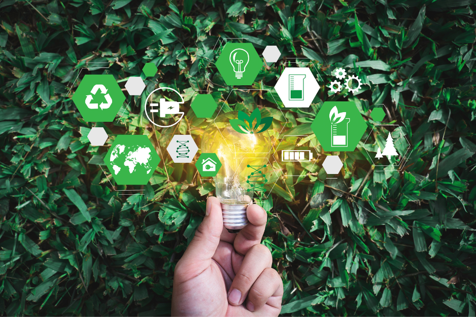 écorénovation en quelques mots