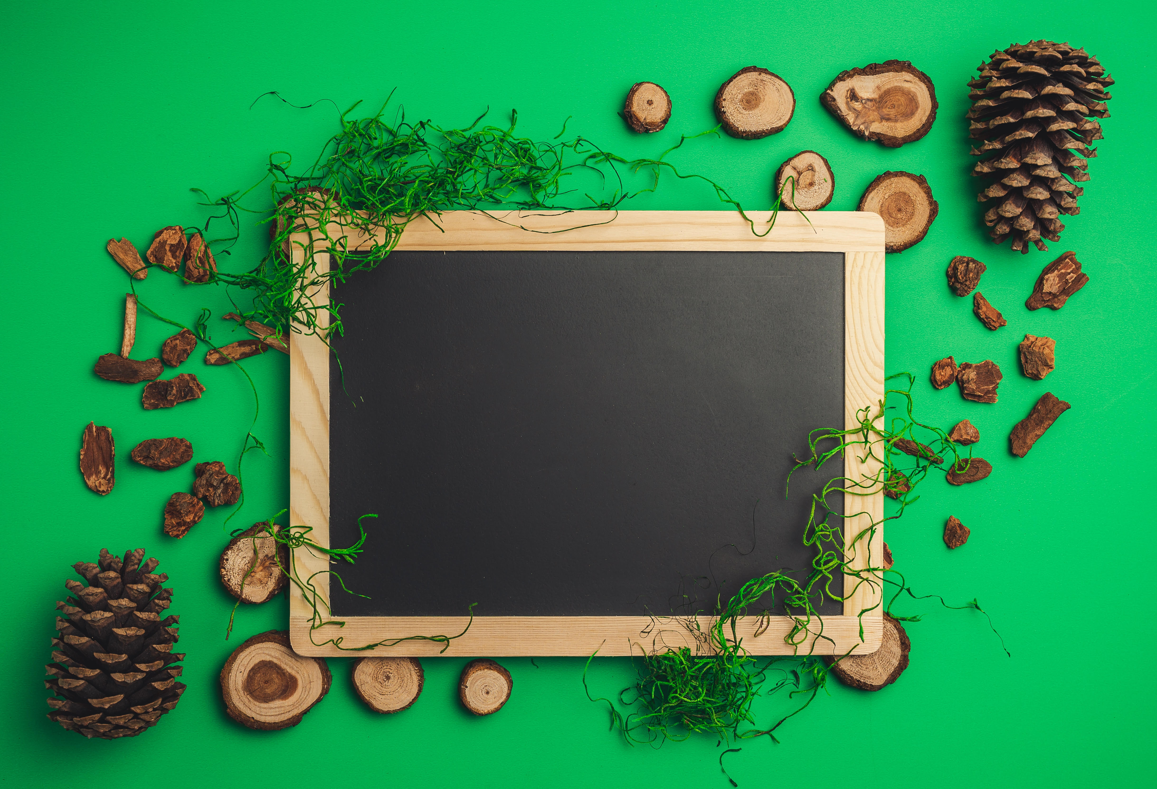 connecter les élèves et la nature