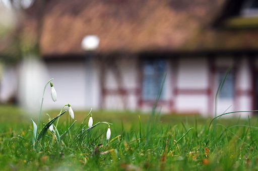 5 solutions économiques  pour préserver votre jardin en hiver 