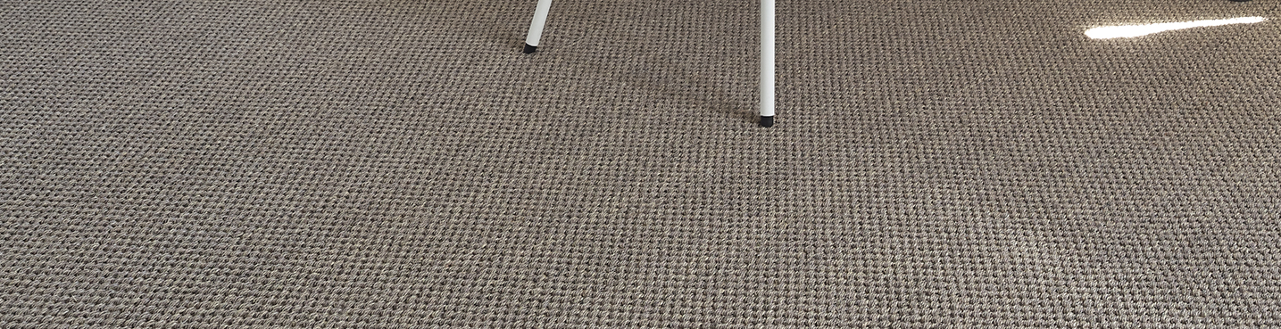 Sisal, jonc de mer :