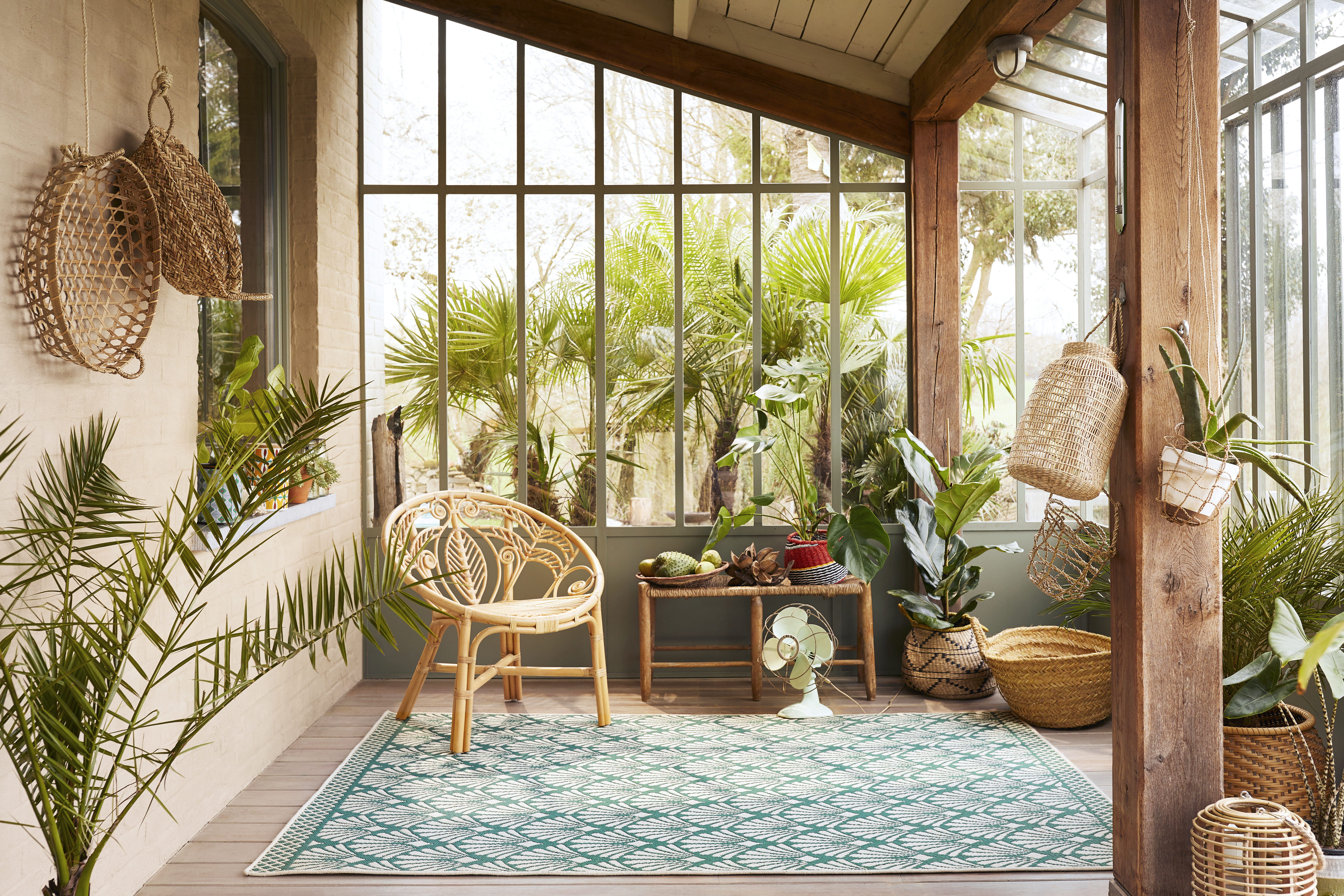 plantes clim naturelle