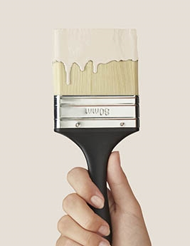 Peinture DIVALI TOURTERELLE Murs & Boiseries velours satiné