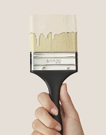 Peinture DIVALI TOURTERELLE Murs & Boiseries velours satiné